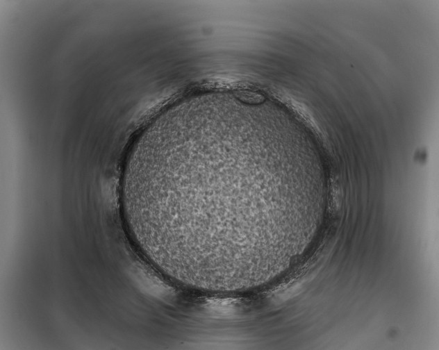 X0000099300450200805090958