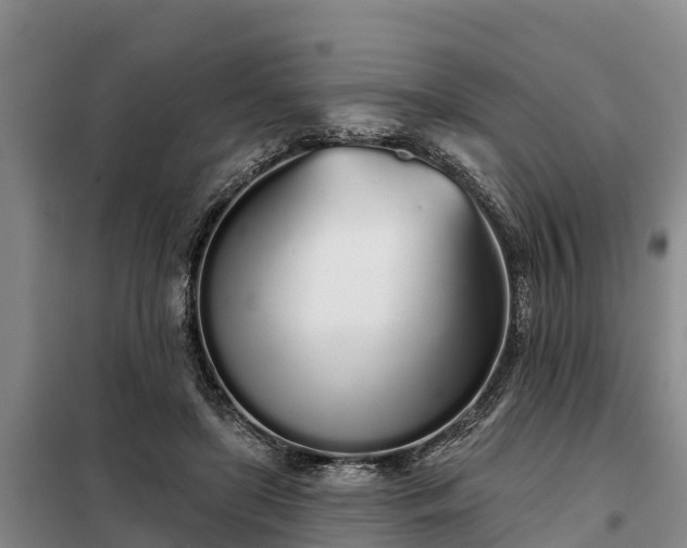 X0000099300451200805090958