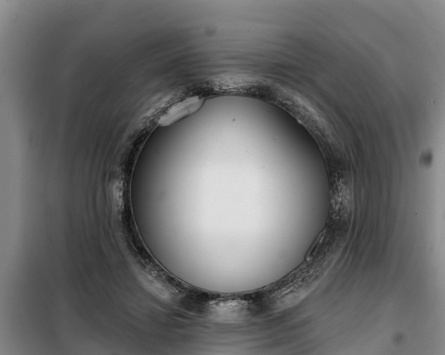 X0000099300452200805090958