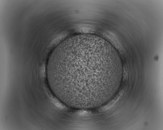 X0000099300453200805090958