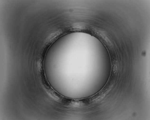 X0000099300455200805090958