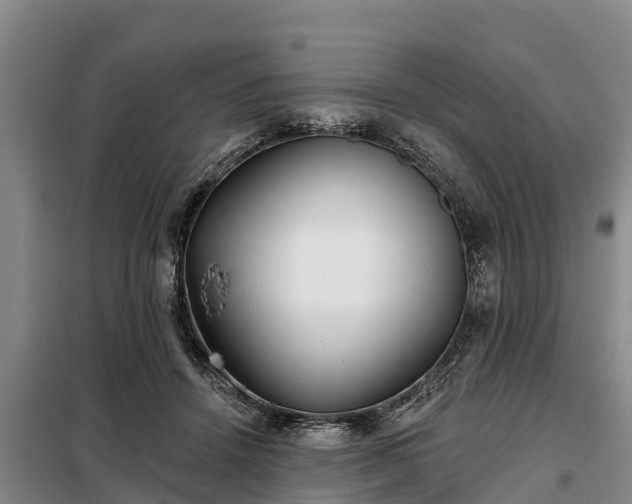 X0000099300456200805090958