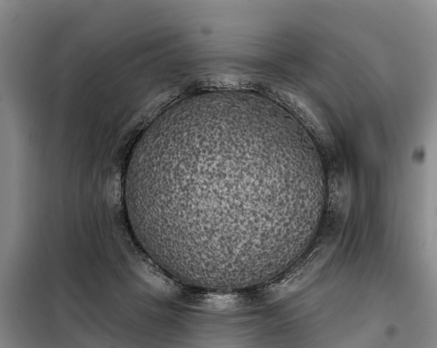 X0000099300457200805090958