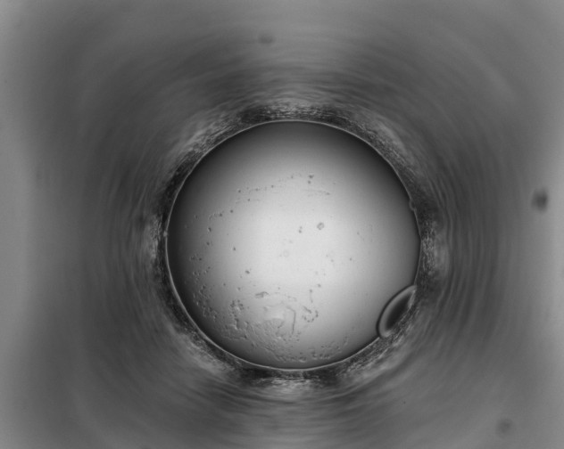 X0000099300458200805090958