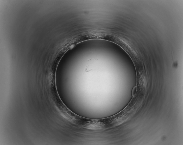 X0000099300459200805090958