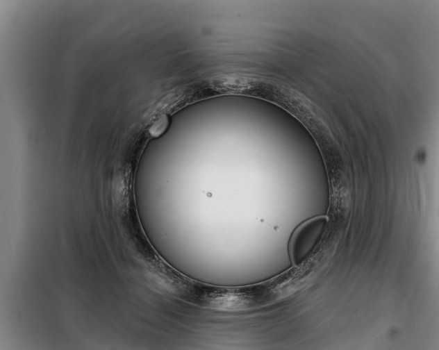 X0000099300460200805090958