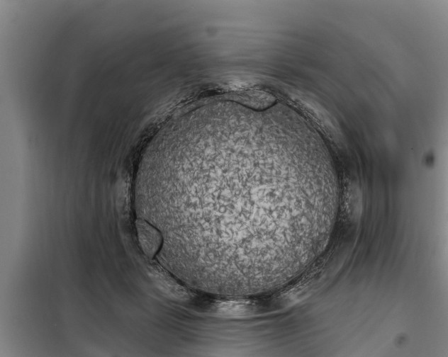 X0000099300461200805090958