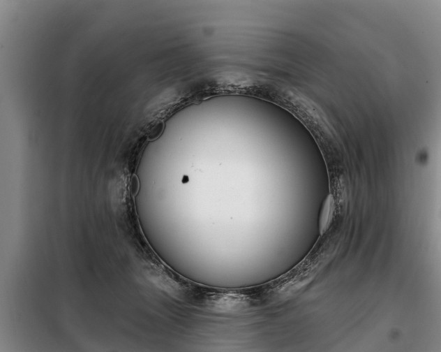 X0000099300463200805090958