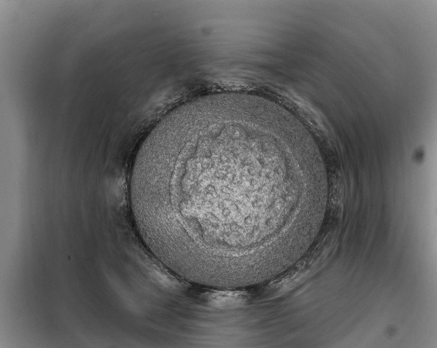 X0000099300465200805090958