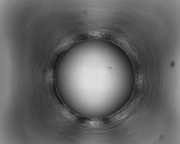 X0000099300466200805090958