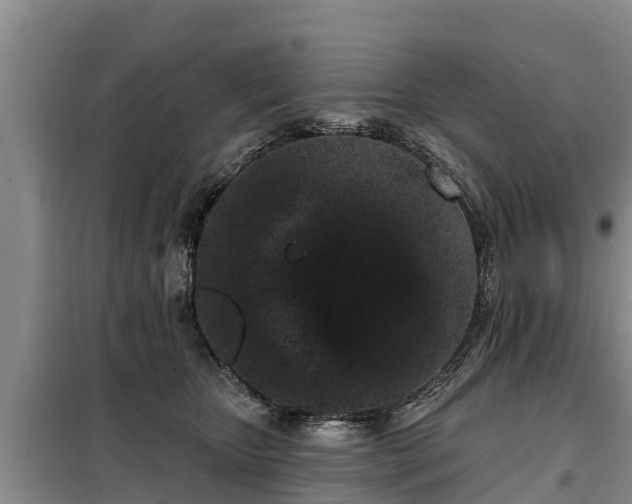 X0000099300467200805090958