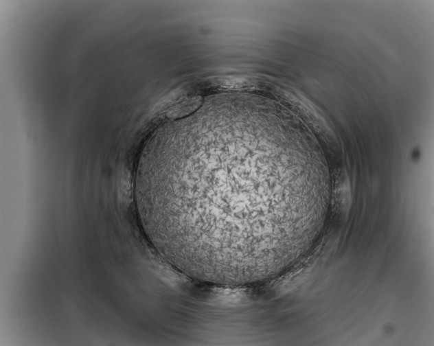 X0000099300469200805090958