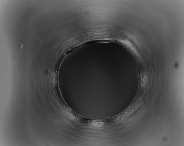 X0000099300471200805090958