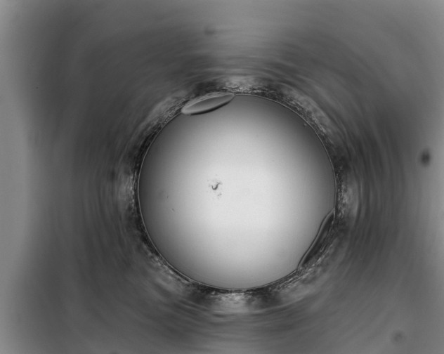 X0000099300473200805090958