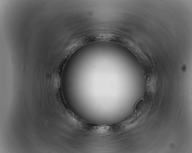 X0000099300474200805090958