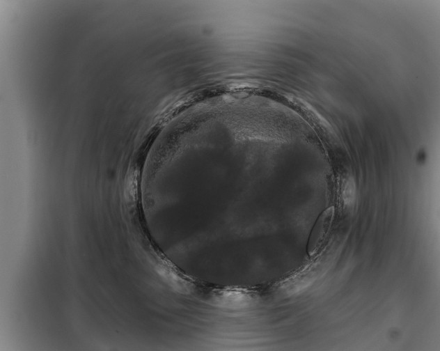 X0000099300475200805090958