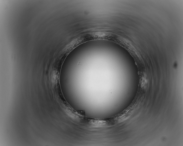 X0000099300476200805090958