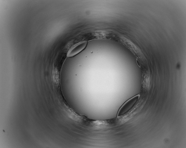 X0000099300477200805090958