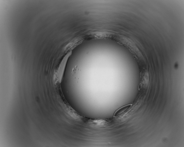 X0000099300478200805090958