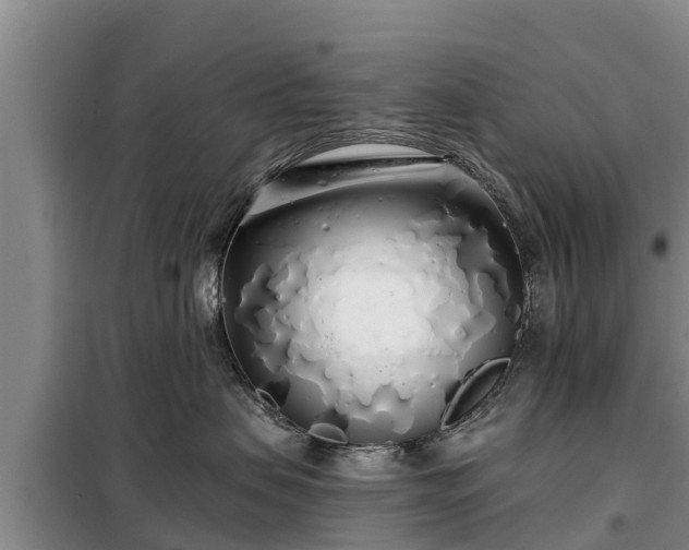 X0000099300479200805090958