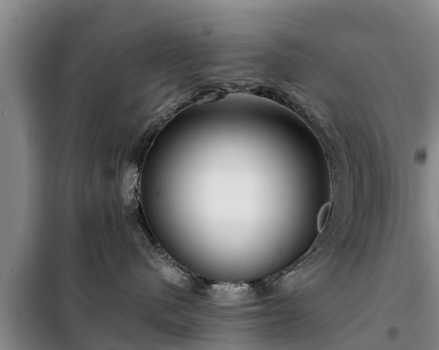 X0000099300480200805090958