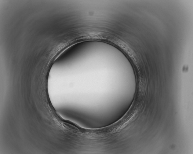 X0000099300481200805090958