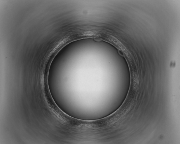 X0000099300482200805090958