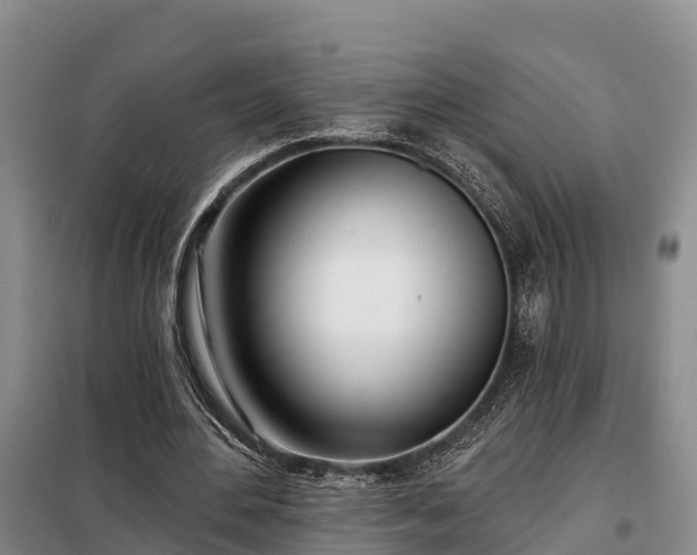 X0000099300484200805090957