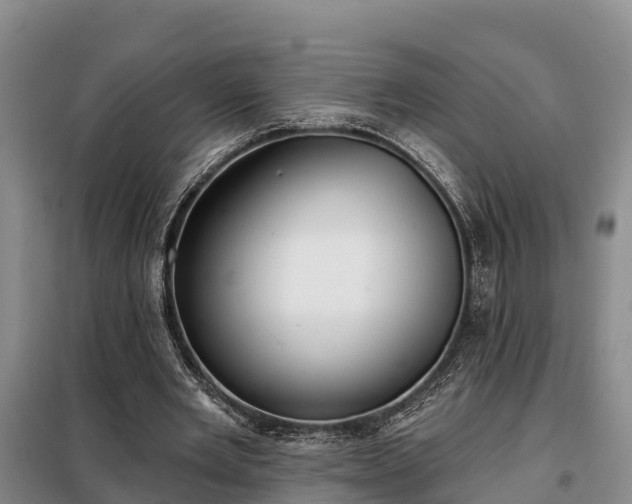 X0000099300485200805090957