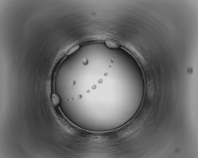 X0000099300486200805090957