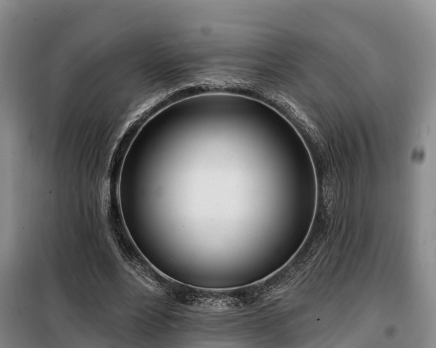 X0000099300488200805090957