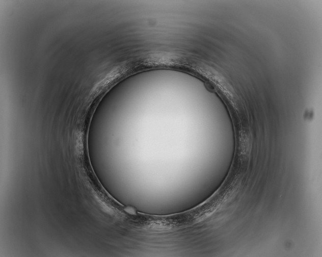 X0000099300489200805090957