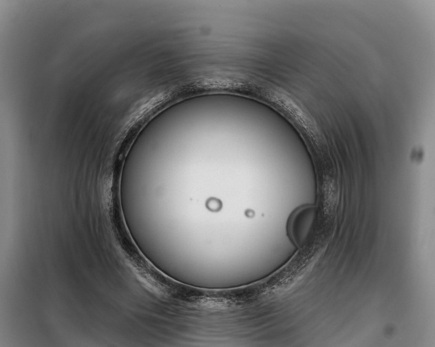 X0000099300490200805090957