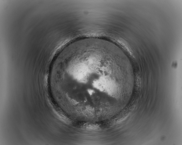 X0000099300491200805090957