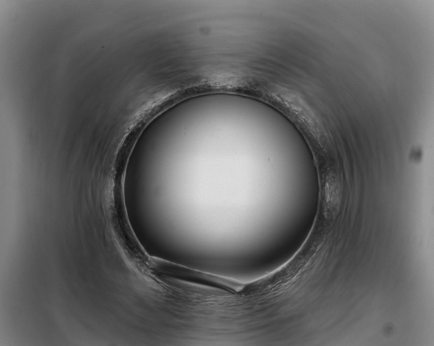 X0000099300492200805090957