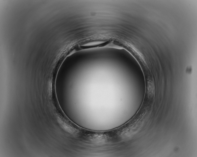 X0000099300493200805090957