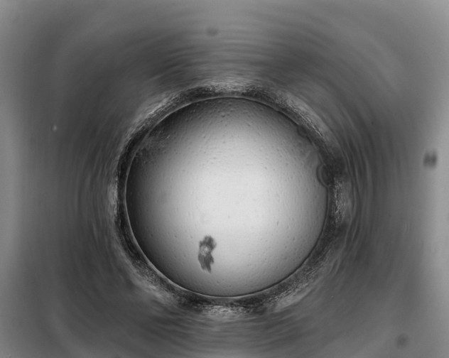 X0000099300494200805090957