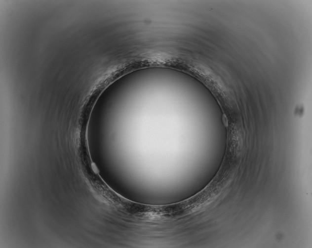 X0000099300496200805090957