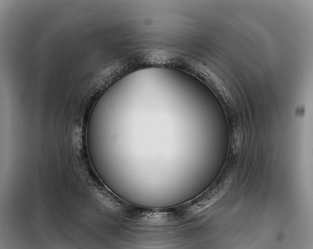 X0000099300497200805090957