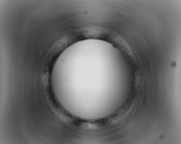 X0000099300498200805090957