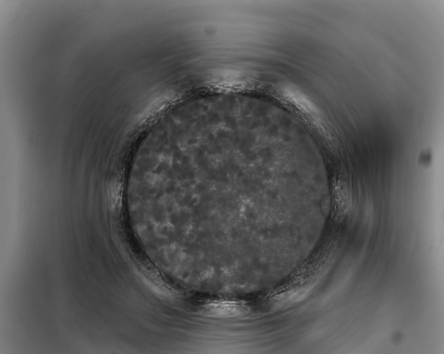 X0000099300499200805090957