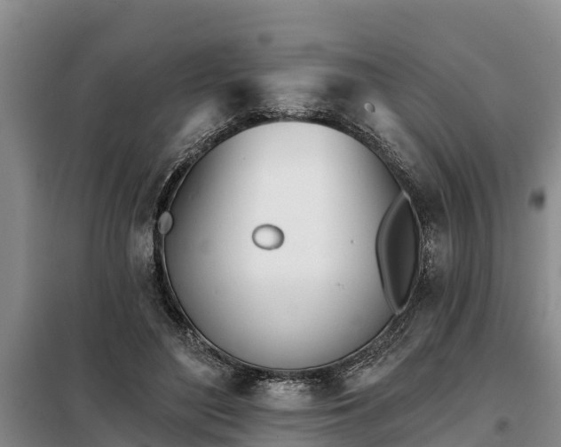 X0000099300500200805090957