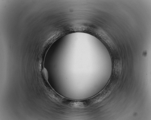 X0000099300501200805090957