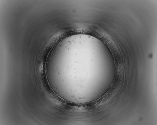 X0000099300502200805090957