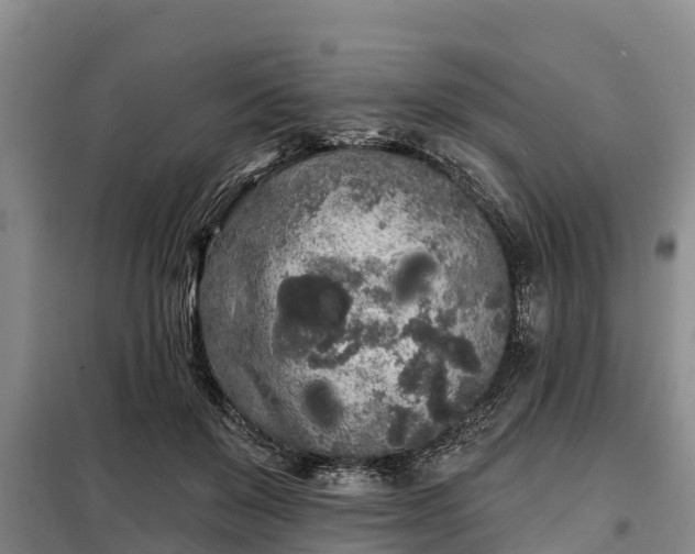 X0000099300503200805090957