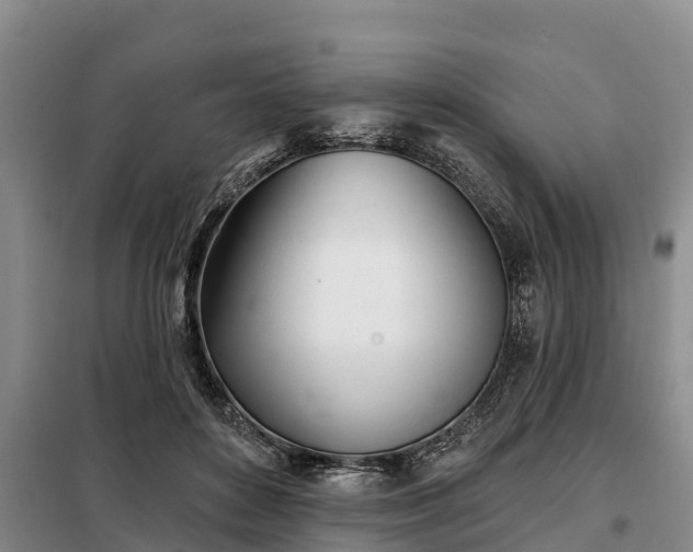 X0000099300504200805090957