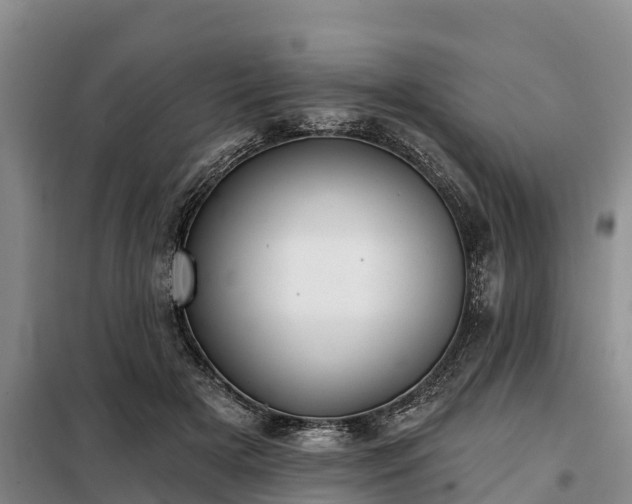 X0000099300505200805090957