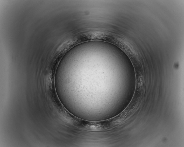 X0000099300506200805090957