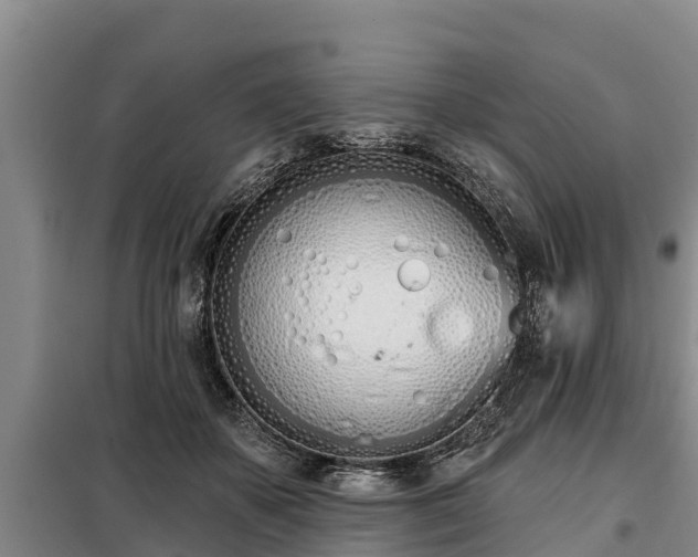 X0000099300507200805090957