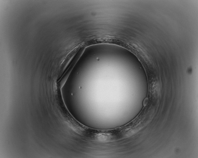 X0000099300508200805090957